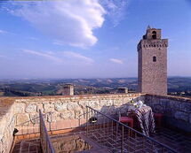 TORRE DI SAN GIMIGNANO TORRE DI SAN GIMIGNANO