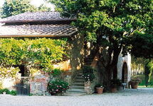 CASA EVELIN CASA EVELIN