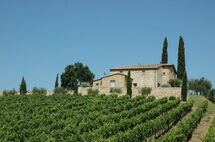 BRUNELLO
