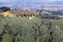 CASA MARZIA CASA MARZIA
