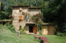 MOLINO DEL VERDE